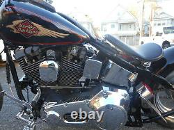 1995 Harley-Davidson Softail