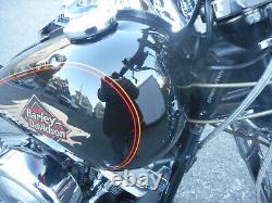 1995 Harley-Davidson Softail