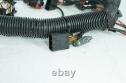2004 Harley Touring Electra Ultra OEM Front Sub Wiring Harness Loom Interconnect