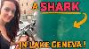Found A Shark In Lake Geneva Harley Davidson Tour Through Europe