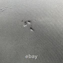 Harley-Davidson Bar & Shield Zippered Touring Luggage Bag Black Nylon 21