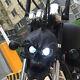 Motorcycle Skull Head Light Headlight Lamp Led For Harley Sportster 1200 Touring